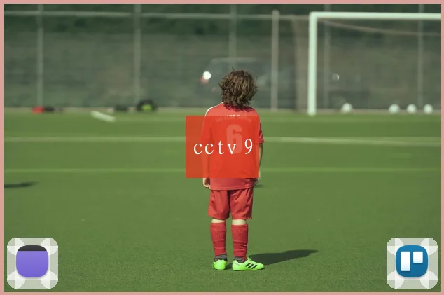 cctv 9