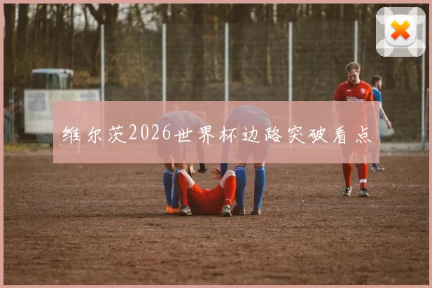 维尔茨2026世界杯边路突破看点