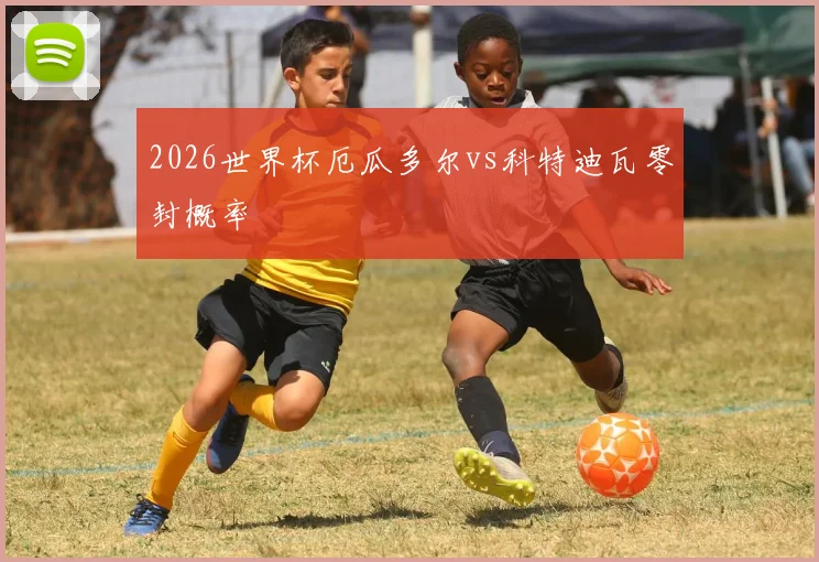2026世界杯厄瓜多尔vs科特迪瓦零封概率