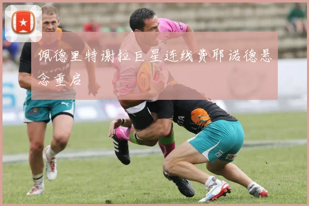 佩德里特谢拉巨星连线费耶诺德悬念重启