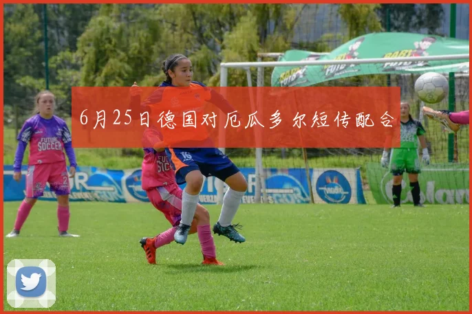 6月25日德国对厄瓜多尔短传配合