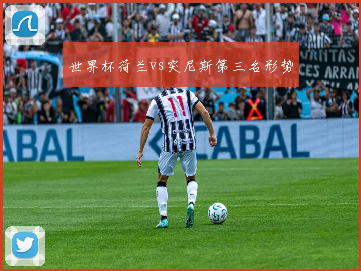 世界杯荷兰vs突尼斯第三名形势