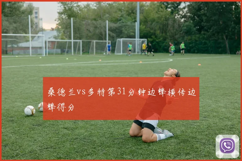 桑德兰vs多特第31分钟边锋横传边锋得分