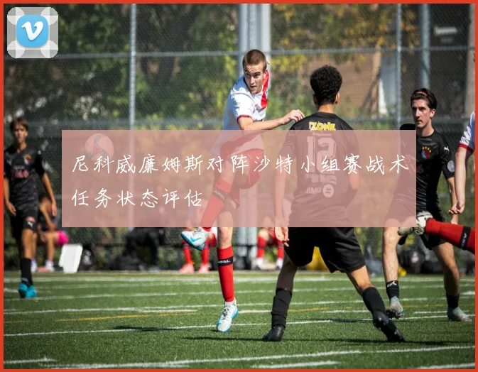 尼科威廉姆斯对阵沙特小组赛战术任务状态评估