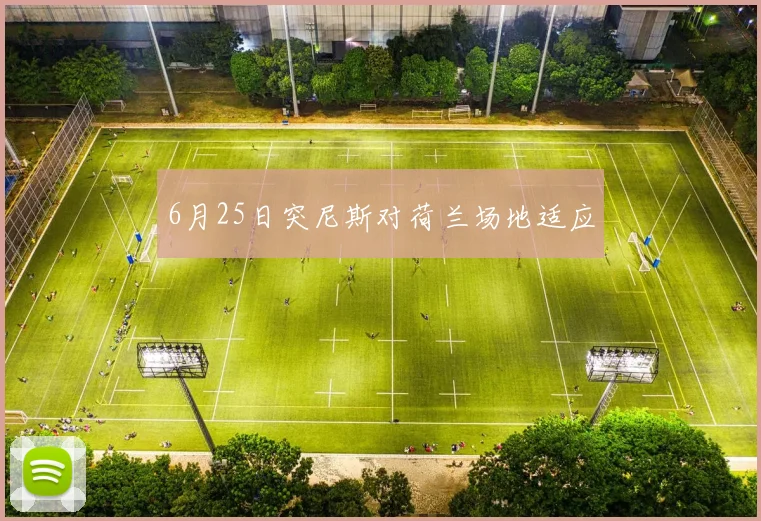 6月25日突尼斯对荷兰场地适应